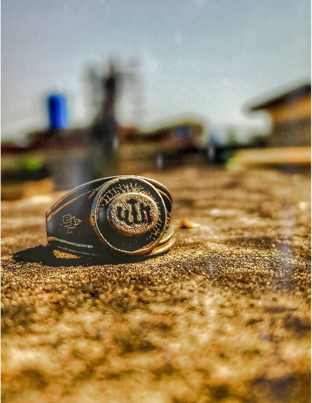 Signet on Stone — macro photograph by Muhammad Azeem
