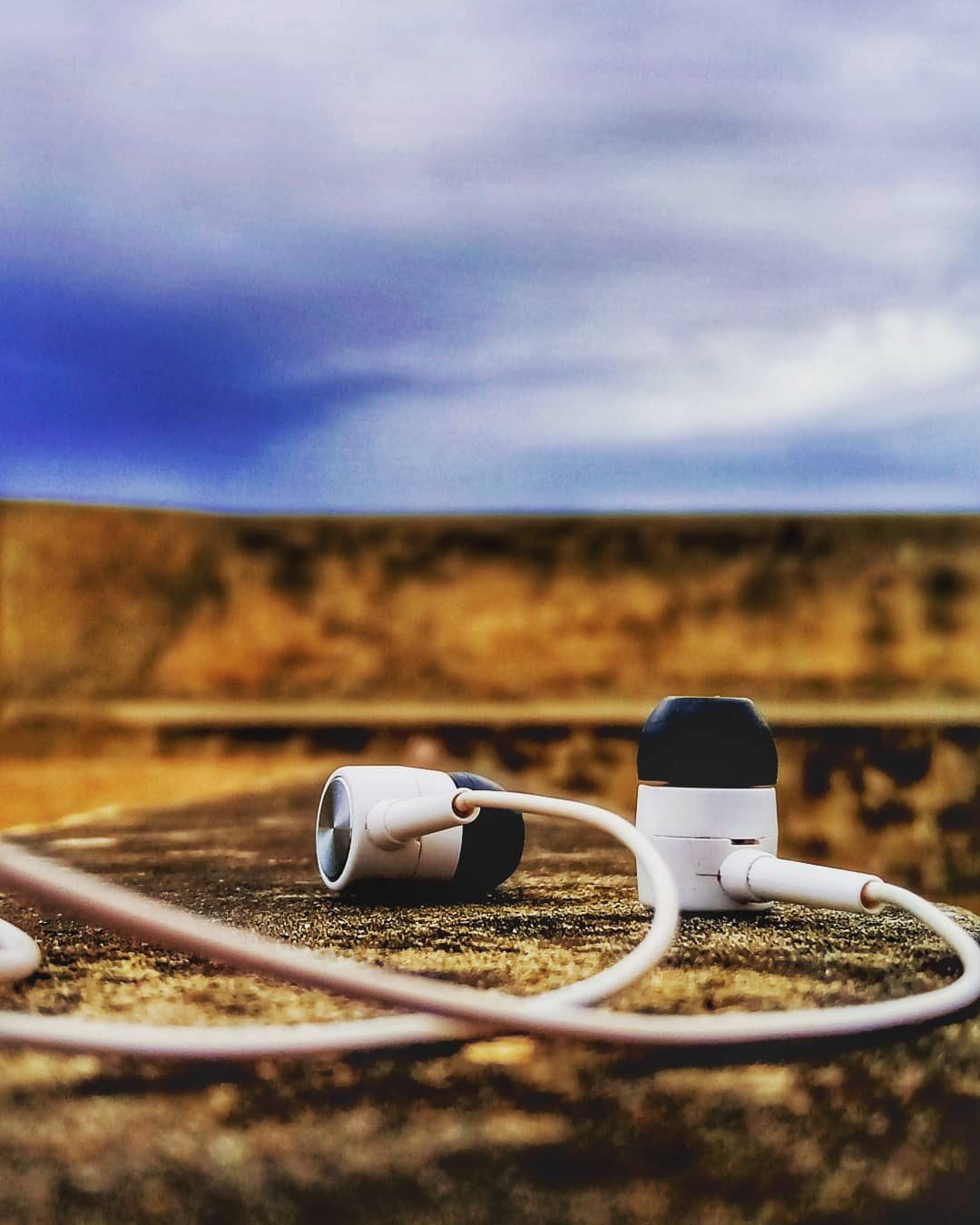Tangled Sound — macro photograph by Muhammad Azeem