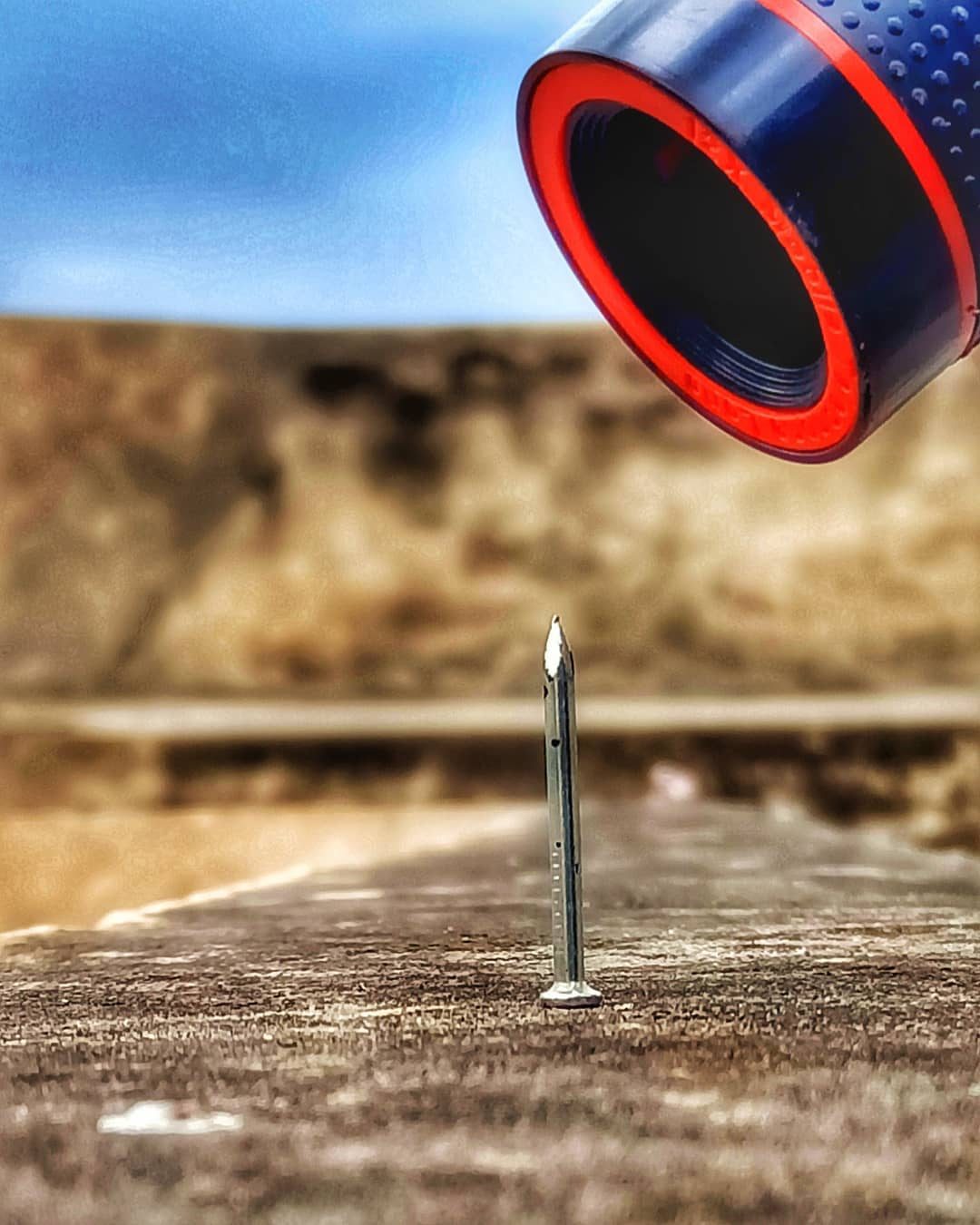 Precision — macro photograph by Muhammad Azeem