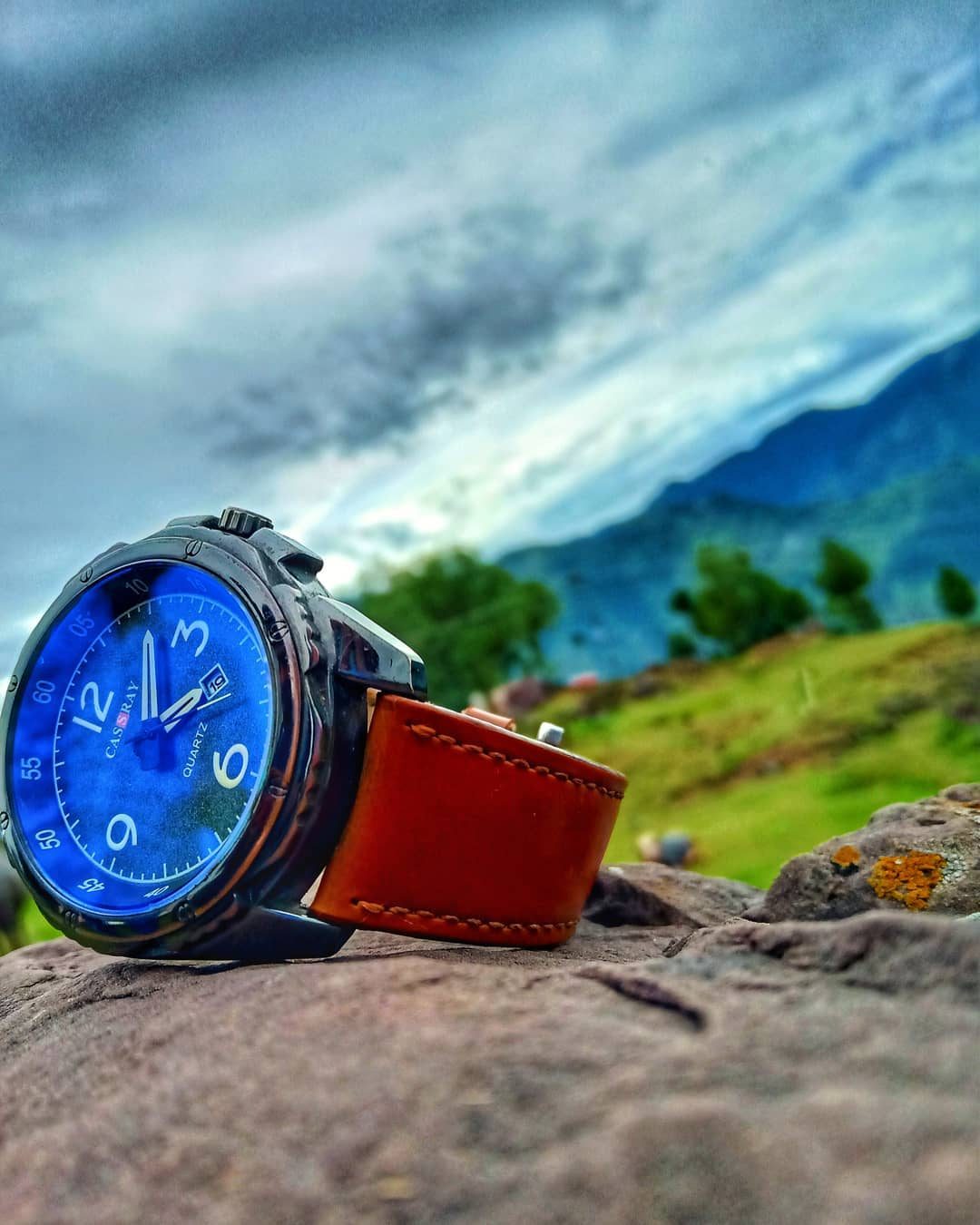 Blue Dial, Green Hills — macro photograph by Muhammad Azeem