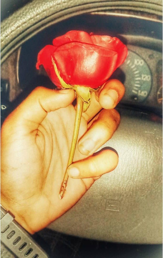 A Rose, Held — macro photograph by Muhammad Azeem