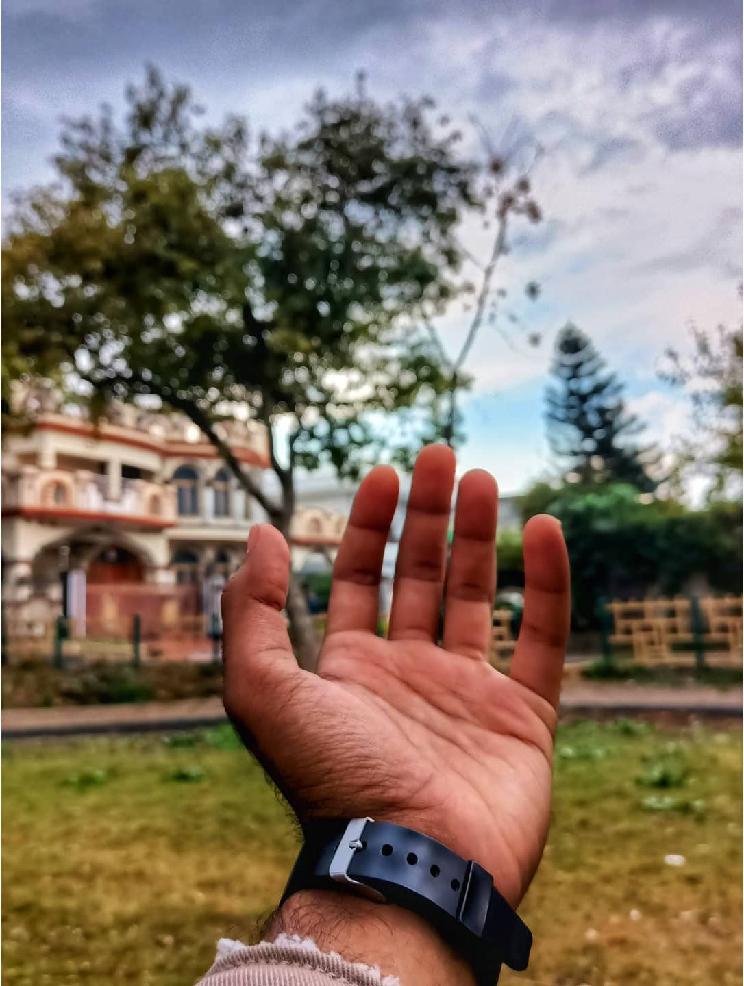 Open Hand — nature photograph by Muhammad Azeem