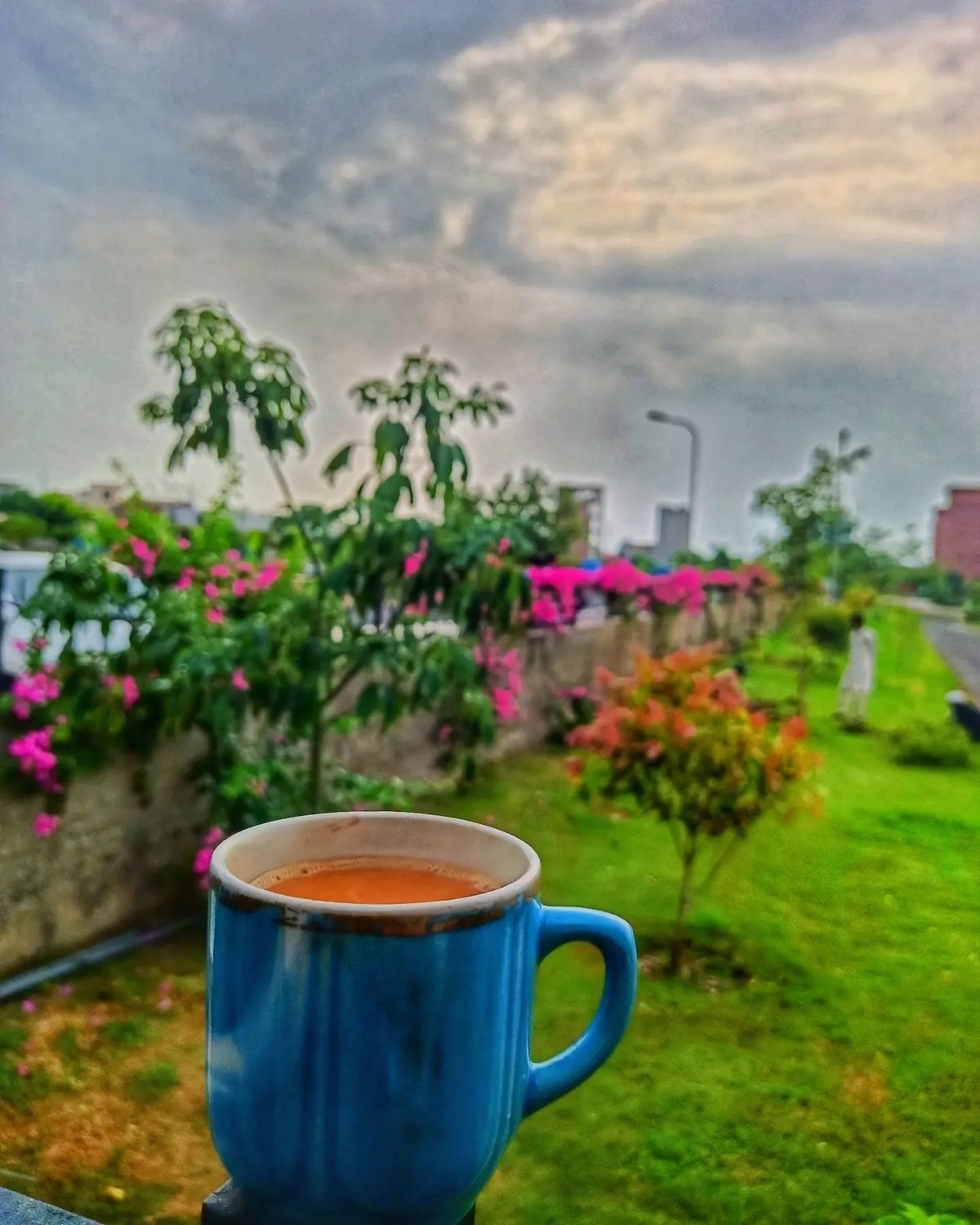 Chai in the Garden — nature photograph by Muhammad Azeem